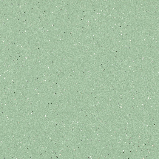 Sage Serenity: Heller Salbei mit Silberglitter - 2.5 Liter Effektfarbe - Cielo Stellato