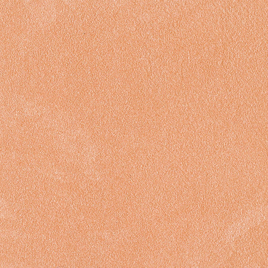 Coral Sands: Koralle in Perlmuttoptik - 2.5 Liter Effektfarbe - Madre Perla